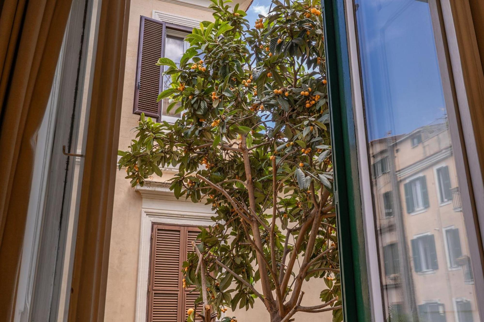 Imperia Affittacamere Roma